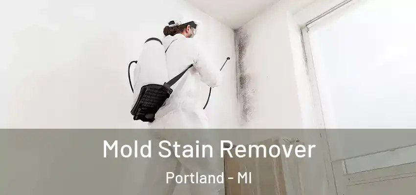 Mold Stain Remover Portland - MI