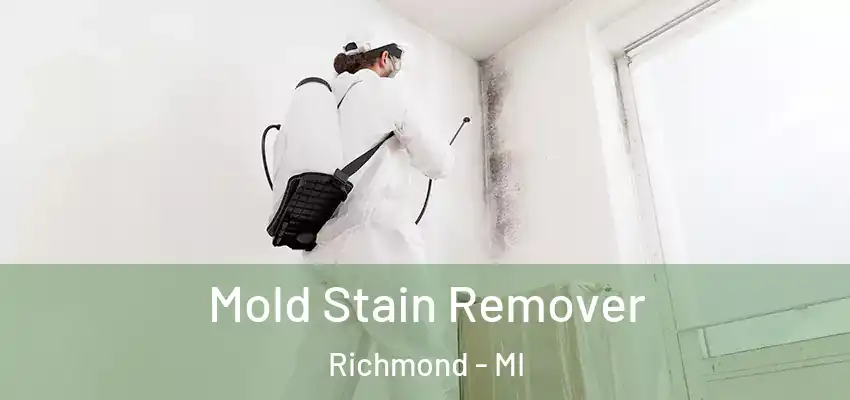  Mold Stain Remover Richmond - MI
