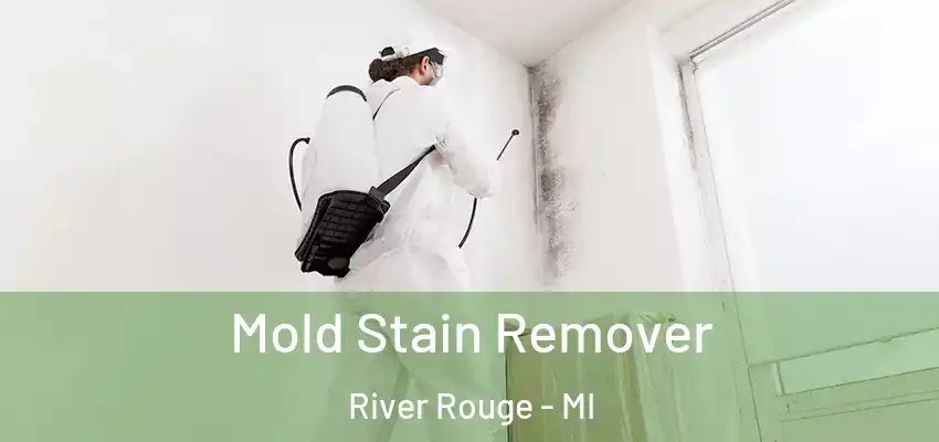 Mold Stain Remover River Rouge - MI