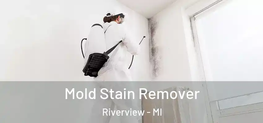  Mold Stain Remover Riverview - MI
