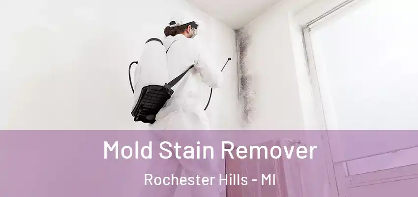 Mold Stain Remover Rochester Hills - MI