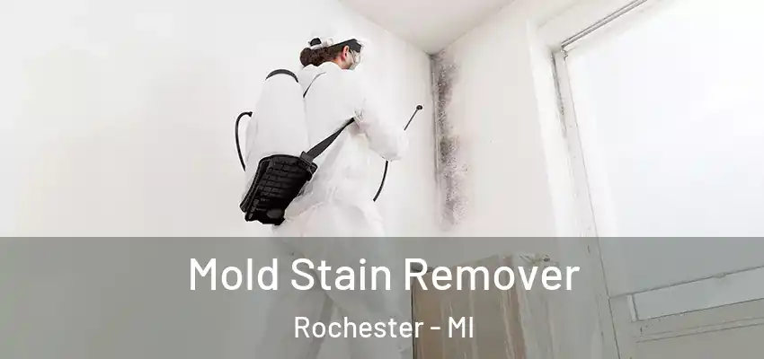  Mold Stain Remover Rochester - MI