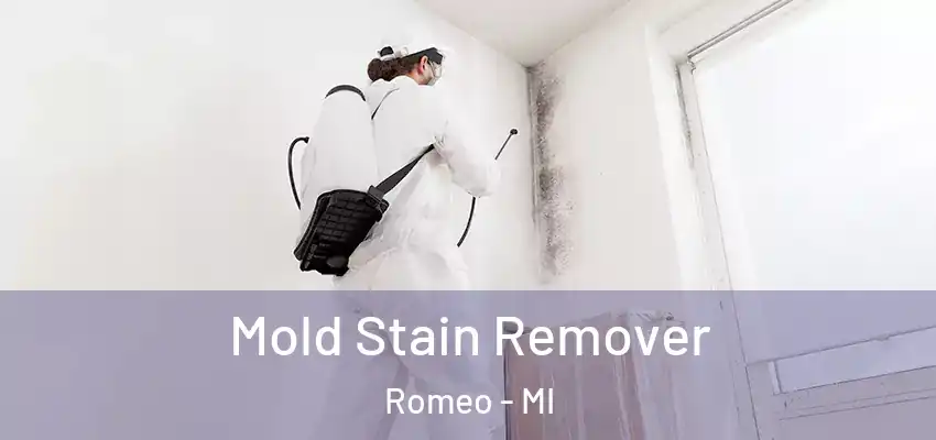  Mold Stain Remover Romeo - MI