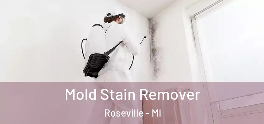  Mold Stain Remover Roseville - MI