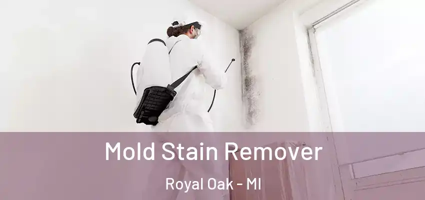  Mold Stain Remover Royal Oak - MI