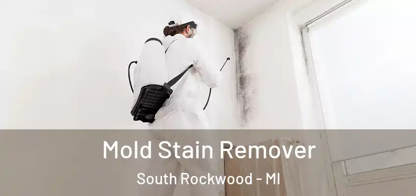  Mold Stain Remover South Rockwood - MI
