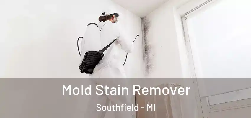  Mold Stain Remover Southfield - MI