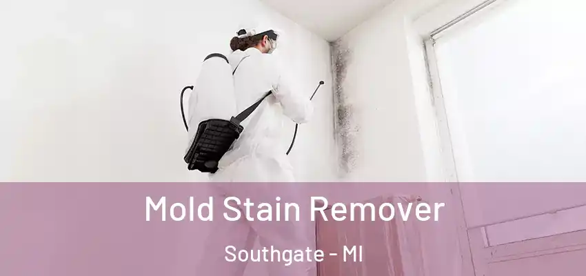  Mold Stain Remover Southgate - MI