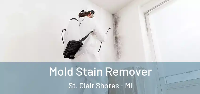  Mold Stain Remover St. Clair Shores - MI