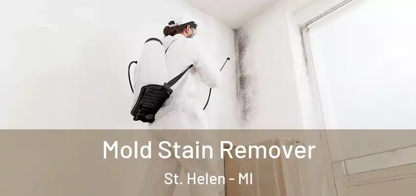  Mold Stain Remover St. Helen - MI