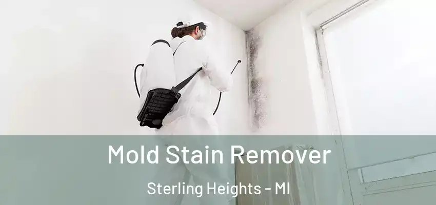 Mold Stain Remover Sterling Heights - MI