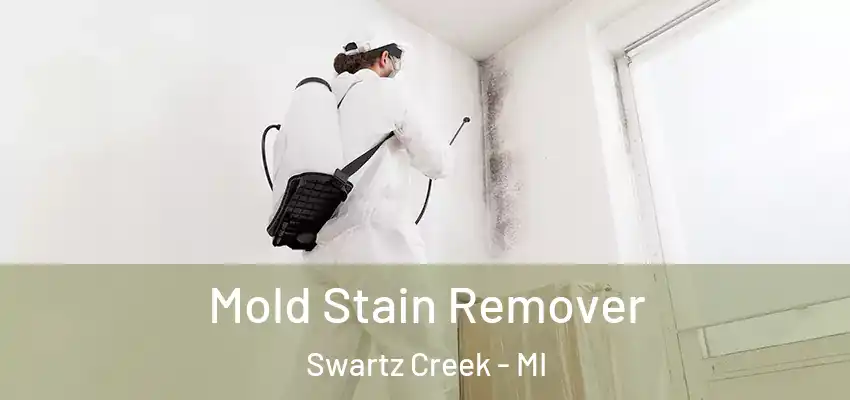 Mold Stain Remover Swartz Creek - MI