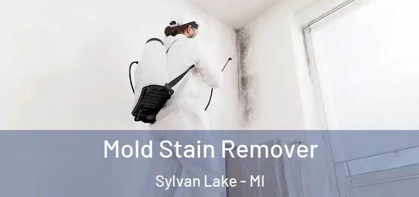  Mold Stain Remover Sylvan Lake - MI
