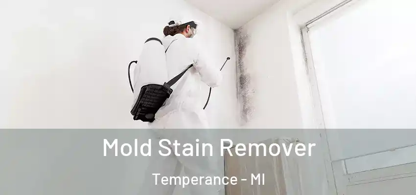 Mold Stain Remover Temperance - MI