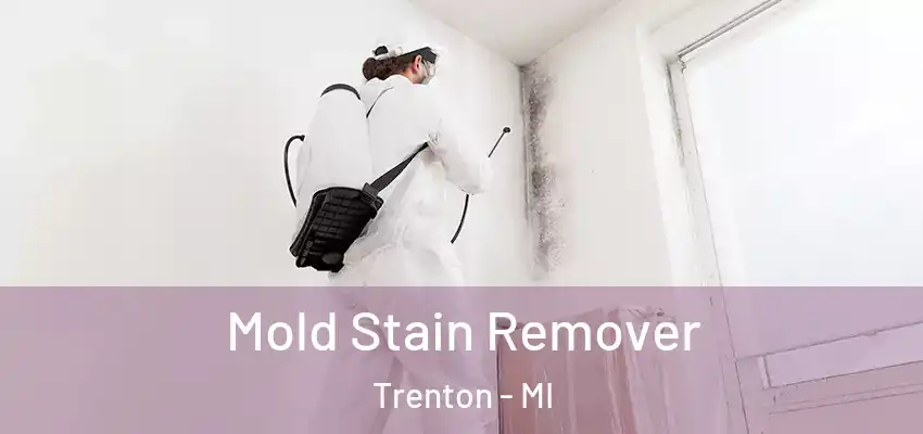  Mold Stain Remover Trenton - MI