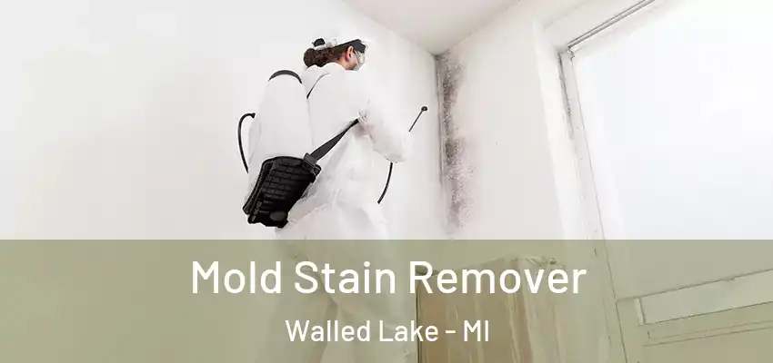  Mold Stain Remover Walled Lake - MI