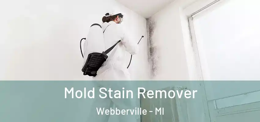  Mold Stain Remover Webberville - MI