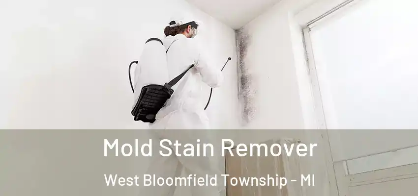  Mold Stain Remover West Bloomfield Township - MI