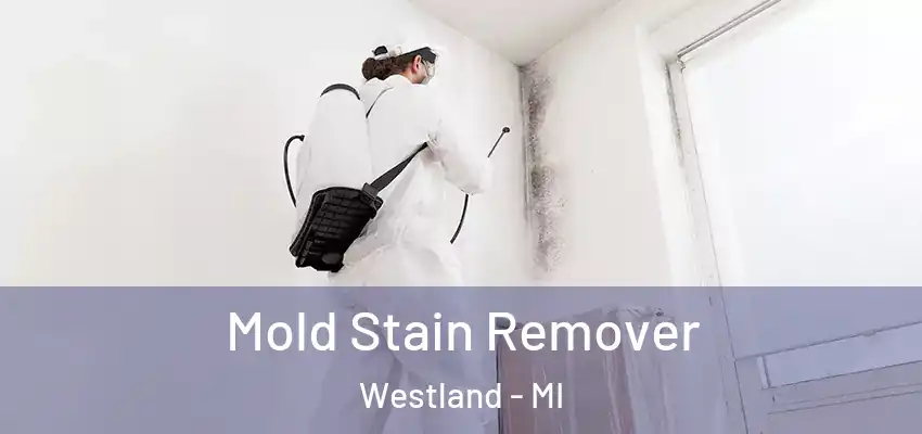  Mold Stain Remover Westland - MI