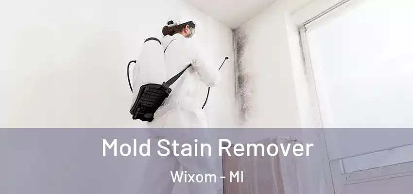  Mold Stain Remover Wixom - MI