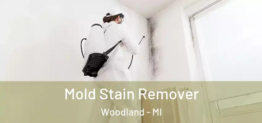  Mold Stain Remover Woodland - MI