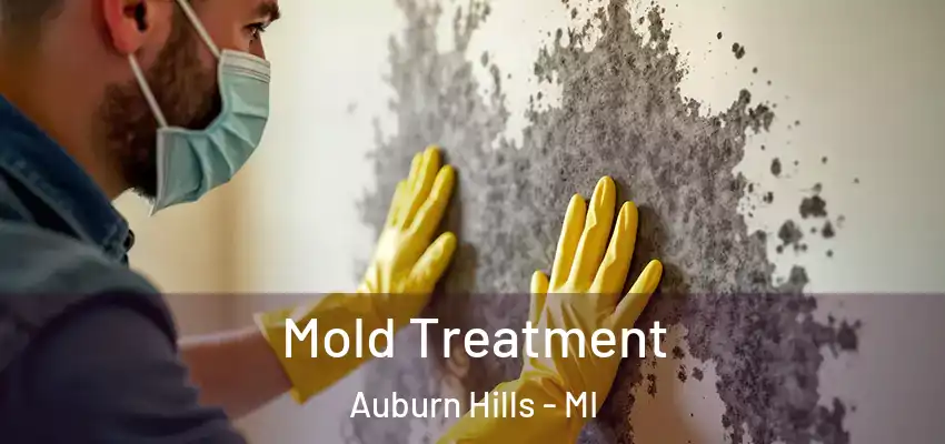  Mold Treatment Auburn Hills - MI