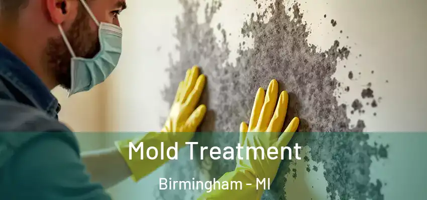  Mold Treatment Birmingham - MI