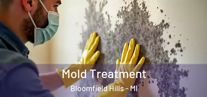  Mold Treatment Bloomfield Hills - MI
