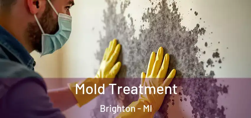  Mold Treatment Brighton - MI