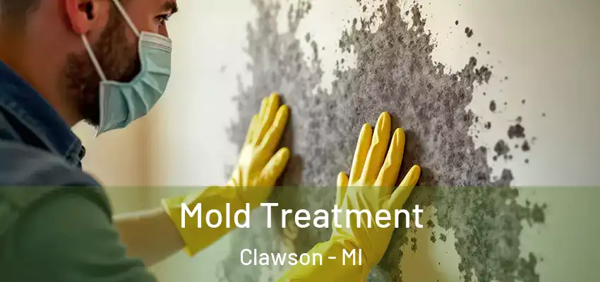  Mold Treatment Clawson - MI
