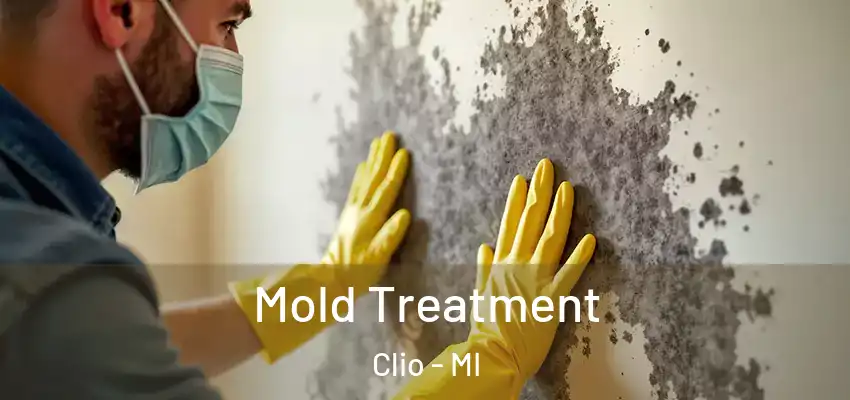  Mold Treatment Clio - MI