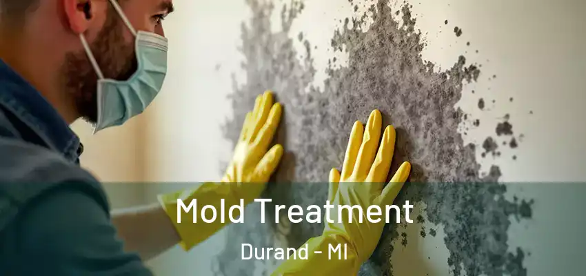 Mold Treatment Durand - MI