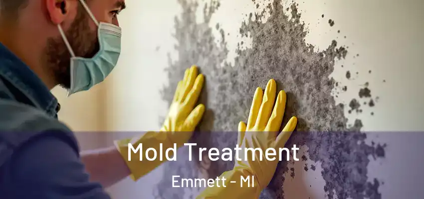  Mold Treatment Emmett - MI