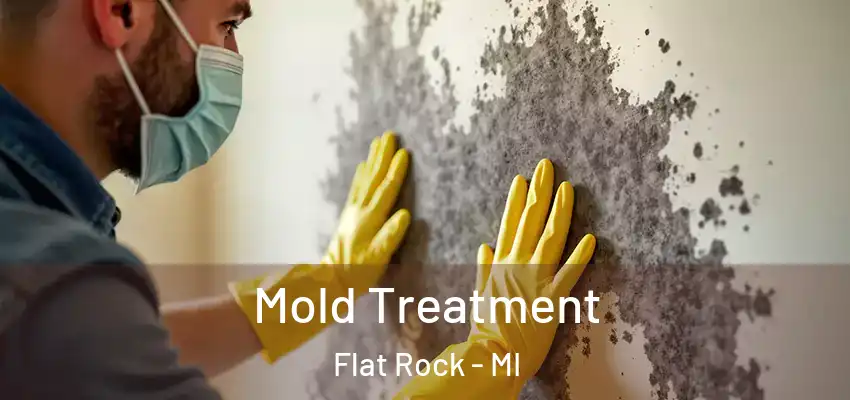  Mold Treatment Flat Rock - MI