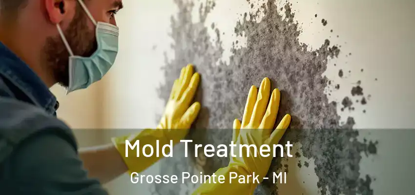  Mold Treatment Grosse Pointe Park - MI