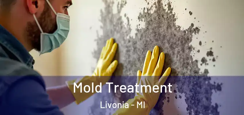  Mold Treatment Livonia - MI