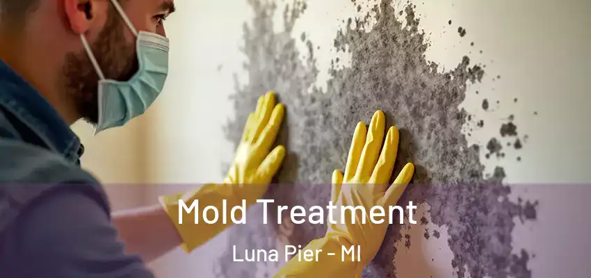  Mold Treatment Luna Pier - MI