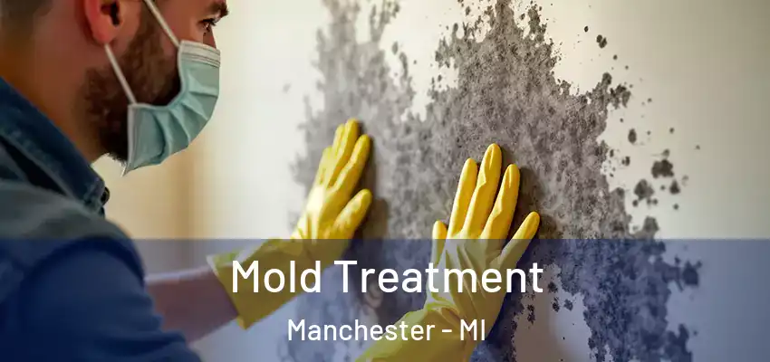  Mold Treatment Manchester - MI