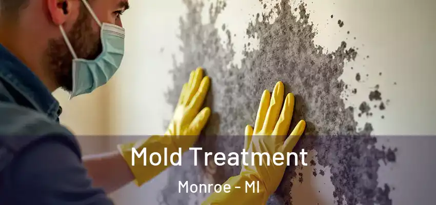  Mold Treatment Monroe - MI