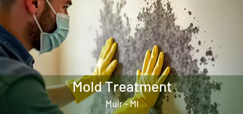  Mold Treatment Muir - MI