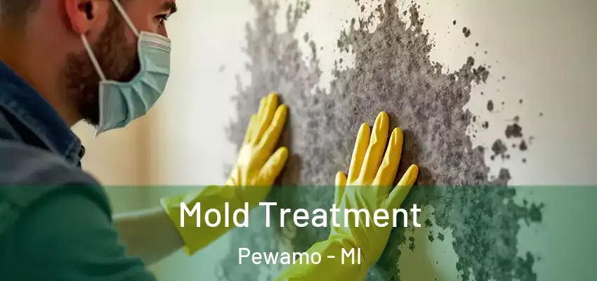  Mold Treatment Pewamo - MI