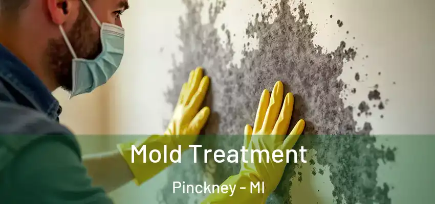  Mold Treatment Pinckney - MI