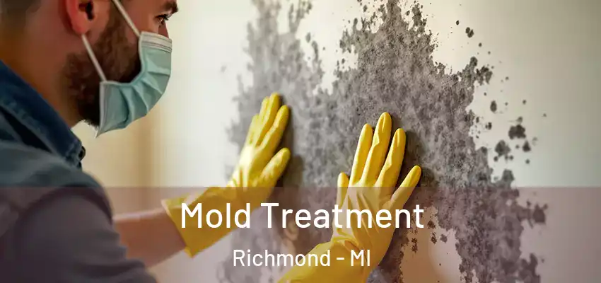  Mold Treatment Richmond - MI