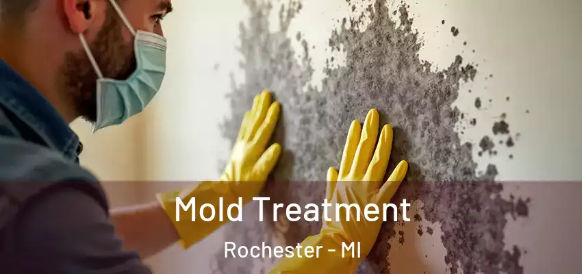  Mold Treatment Rochester - MI