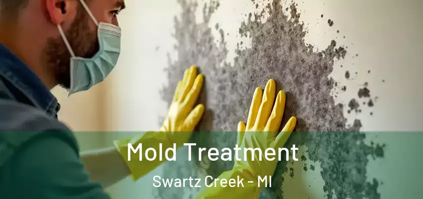  Mold Treatment Swartz Creek - MI