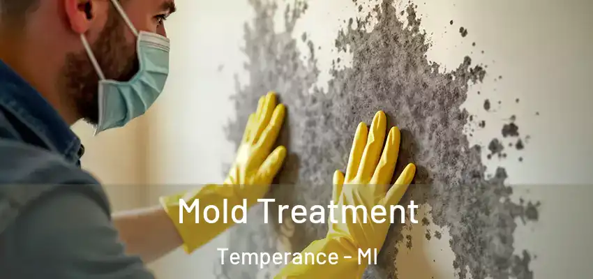  Mold Treatment Temperance - MI
