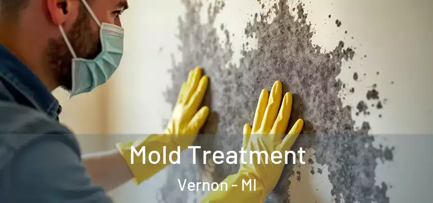  Mold Treatment Vernon - MI