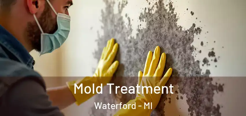  Mold Treatment Waterford - MI