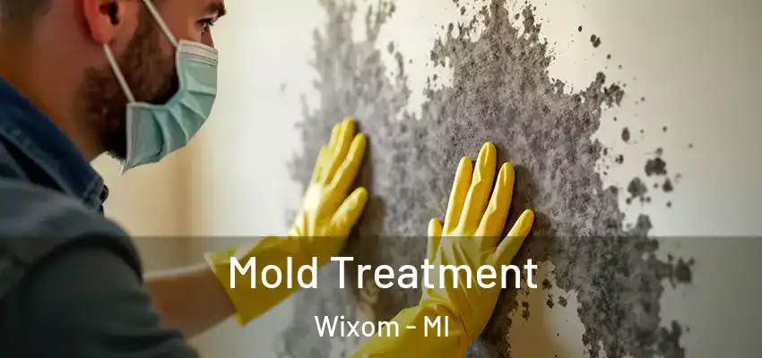  Mold Treatment Wixom - MI