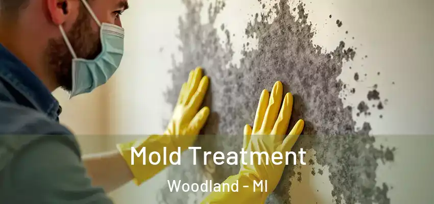  Mold Treatment Woodland - MI